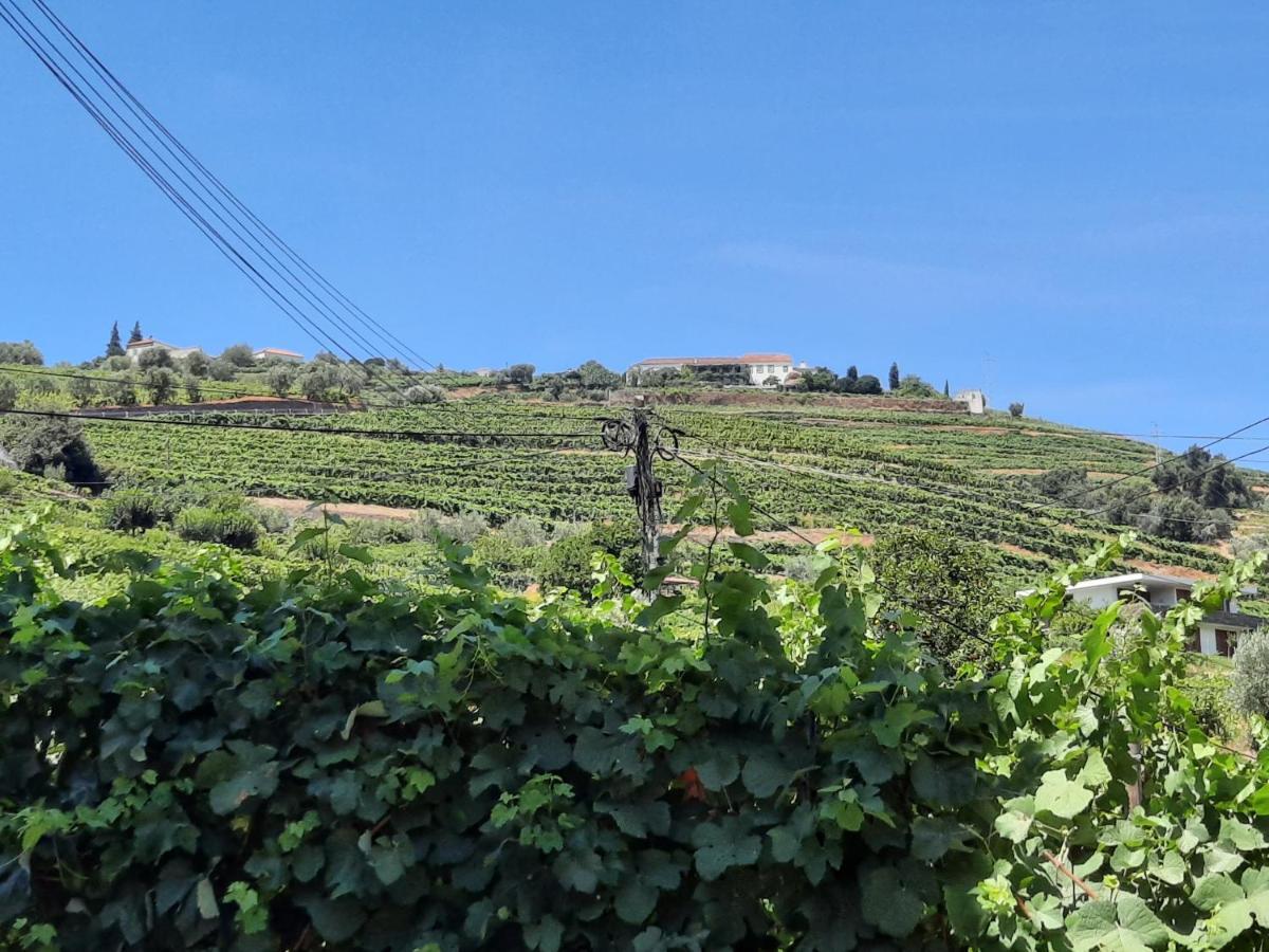 Appartamento Casa Da Ruela No Rodo Peso da Régua Esterno foto